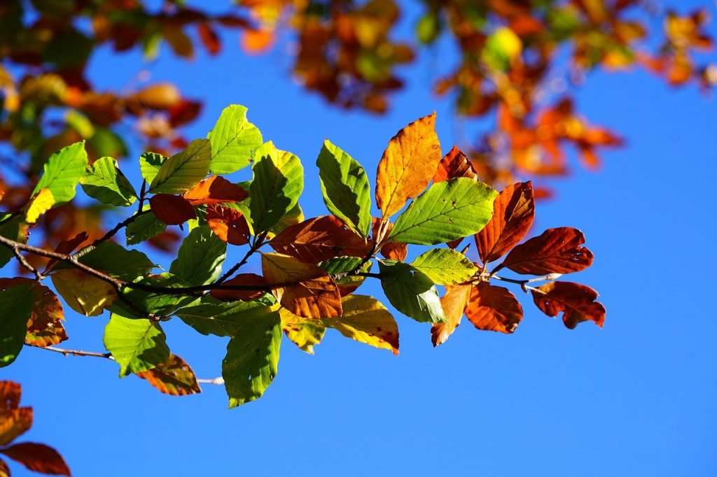 Wochenhoroskop (15. bis 21. Oktober)
