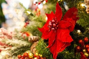 Chinesisches Horoskop Dezember 2018