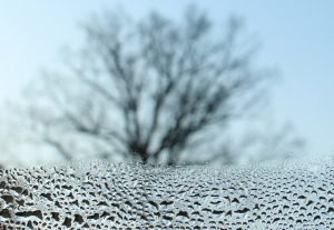Wochenhoroskop (6. bis 12. Januar)://www.gybaw.help/wochenhoroskop-30-dezember-bis-5-januar/