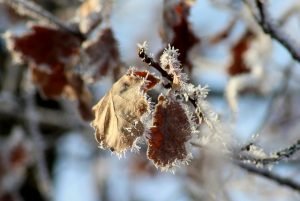 Wochenhoroskop (11. bis 17. Januar)